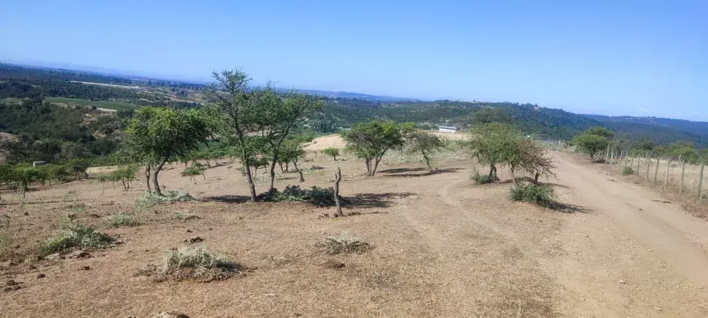 PARCELA EN VENTA